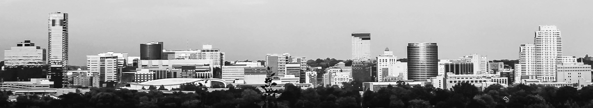Michigan Skyline